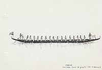 443 Venezia - disdotona barca da parata - Soc. N. Querini 